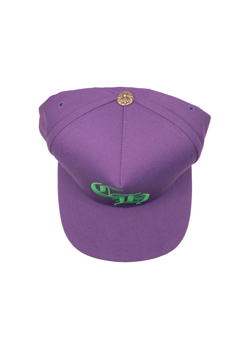 CH Logo Purple Green Baseball Hat