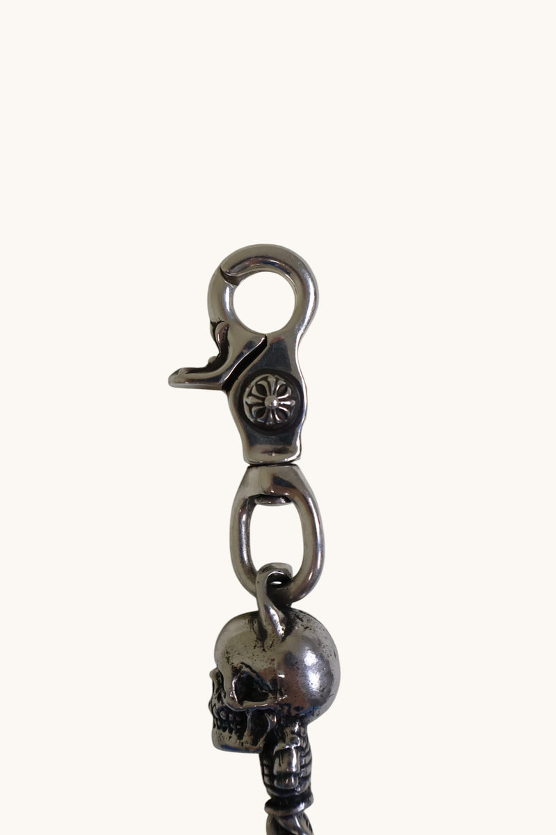 Delphino Foti Wallet Chain
