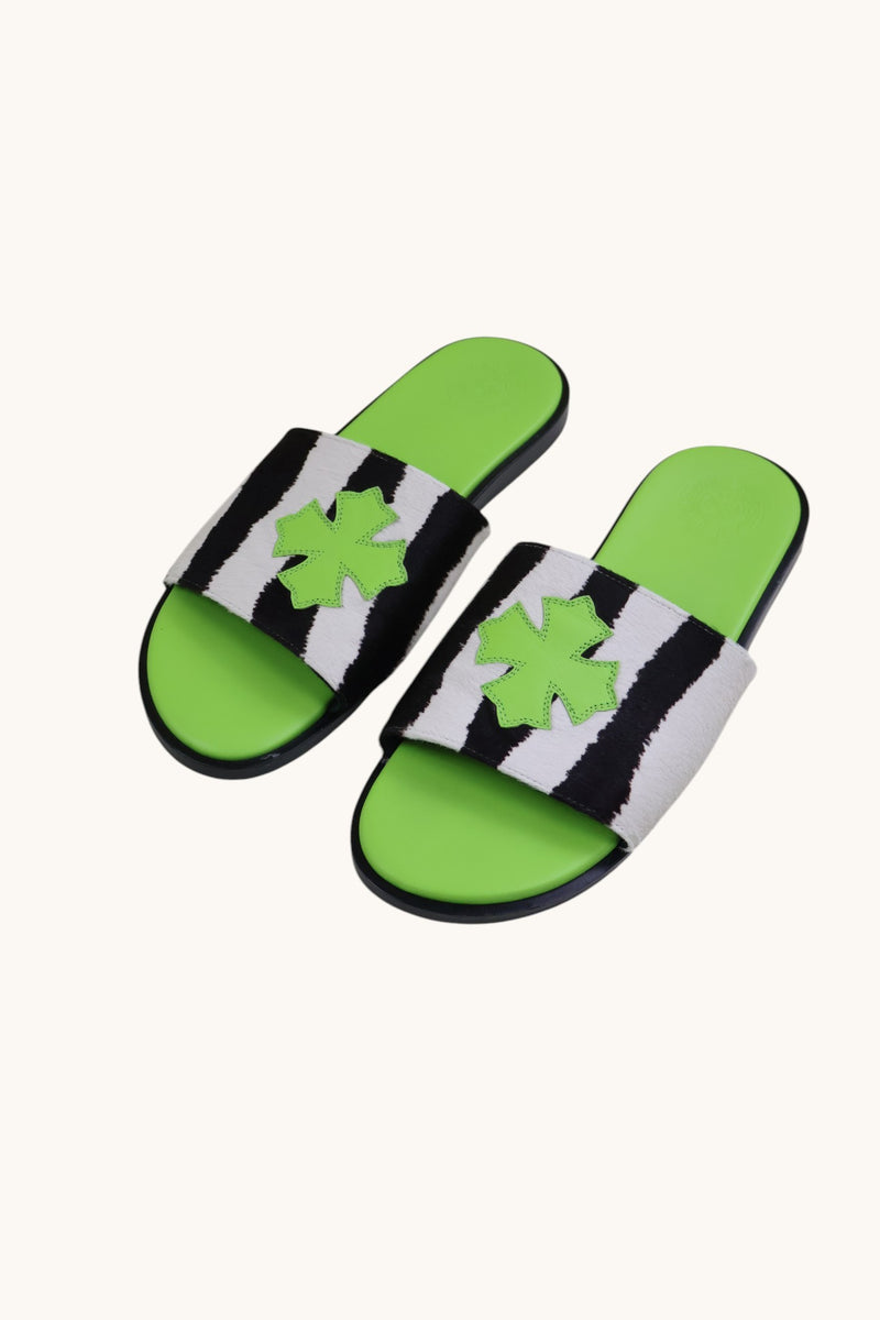 Plus Patch Zebra Green Slides